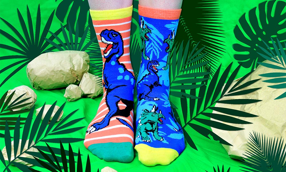 Sock Academy Dinosaur socks