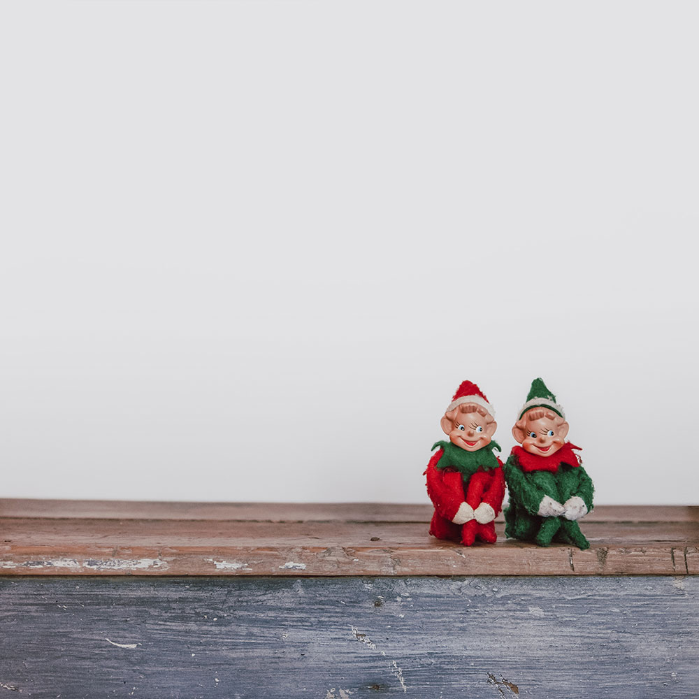 Two Christmas Festive Elves