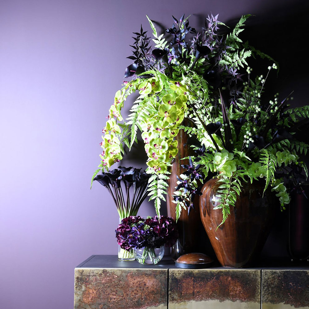 Trend image of plants and a purple wall