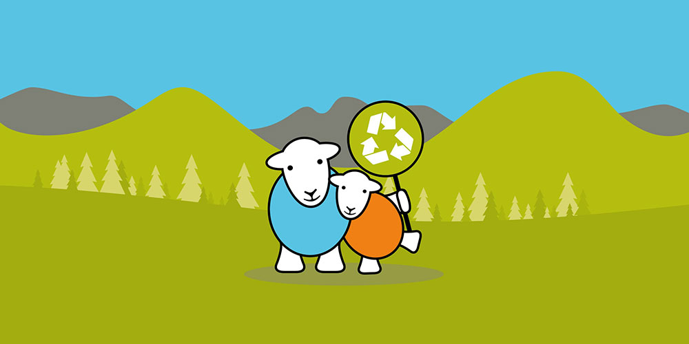 Herdy cartoon image of two sheep
