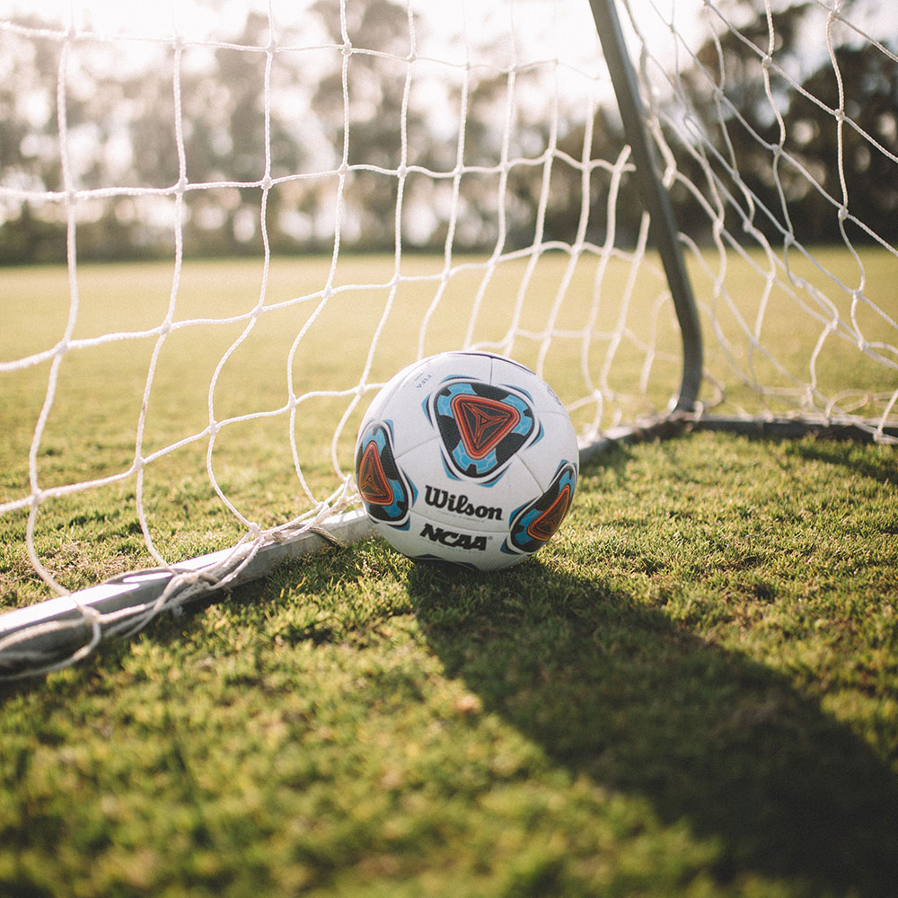 Football in sports net on grass