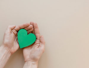 Two hands holding a green heart shaped object