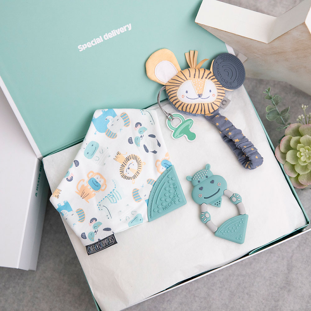 Cheeky Chompers special delivery boxed gift sets