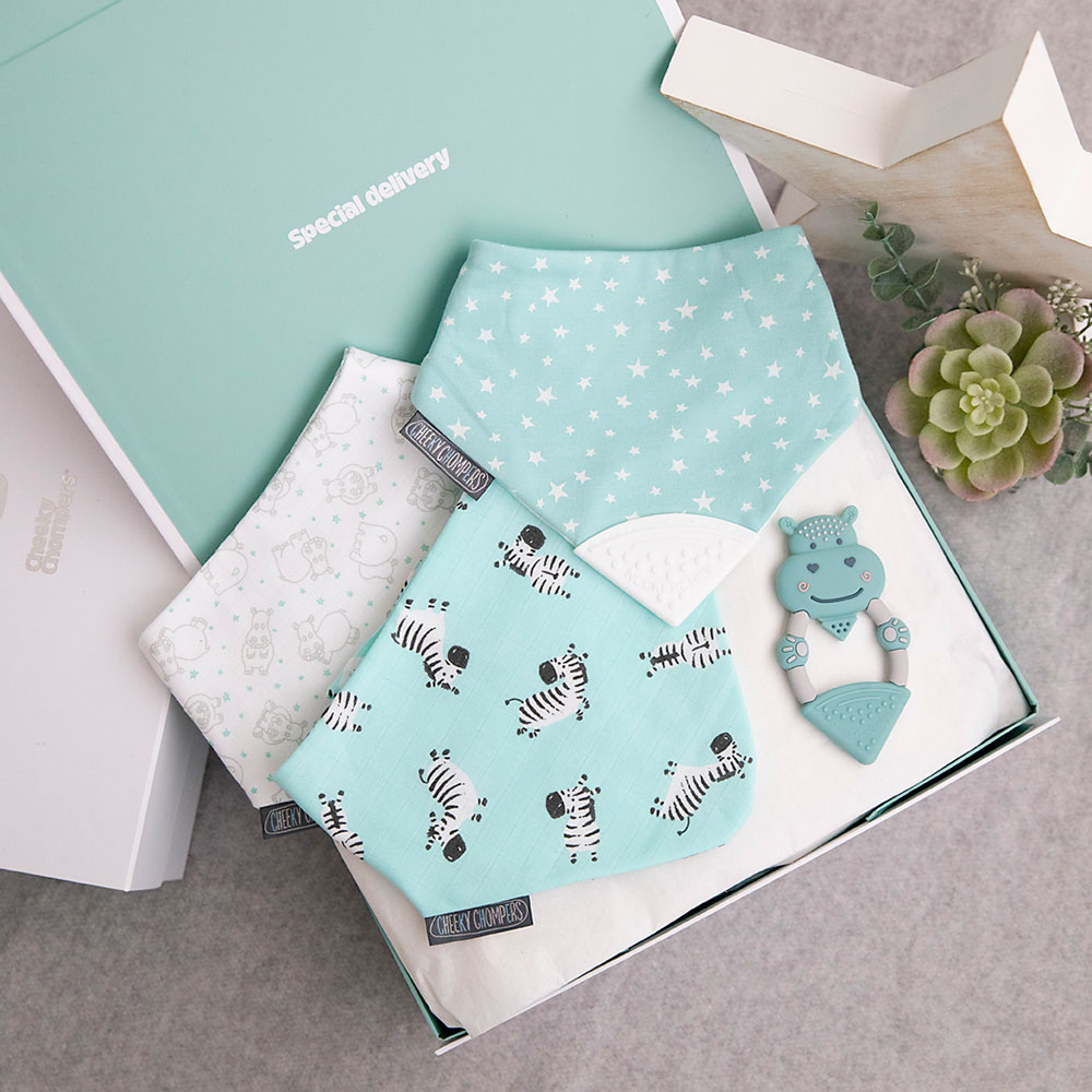Cheeky Chompers special delivery boxed gift sets
