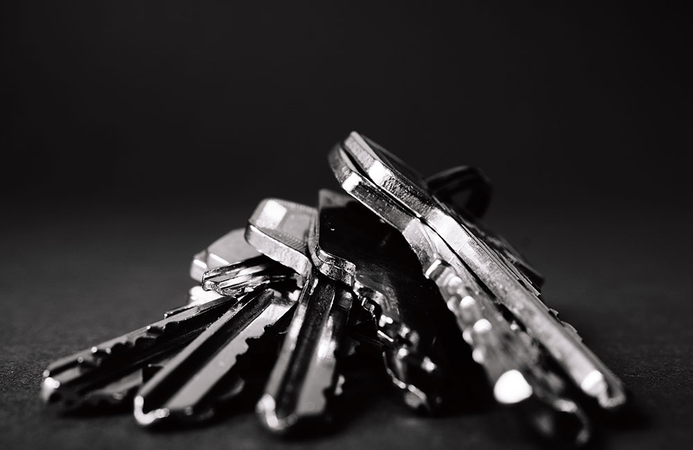 Black and white image of bunch of keys