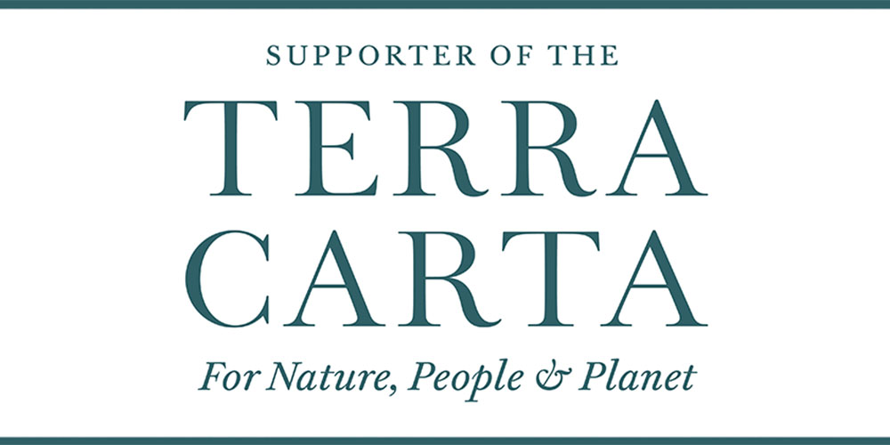 Green Terra Carta Logo on white background