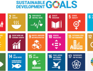 sustainable development goals colourful infographic