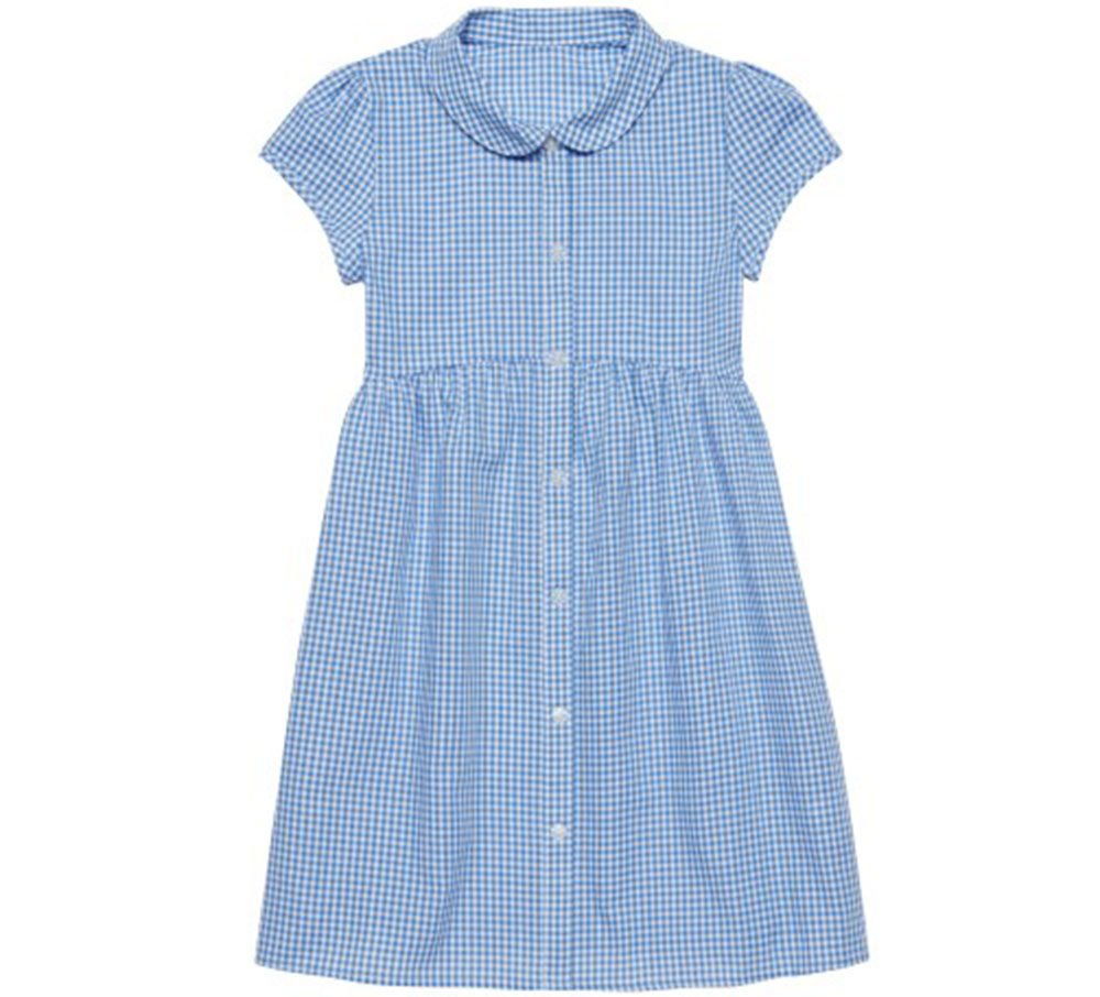 Pale blue check girls school dress