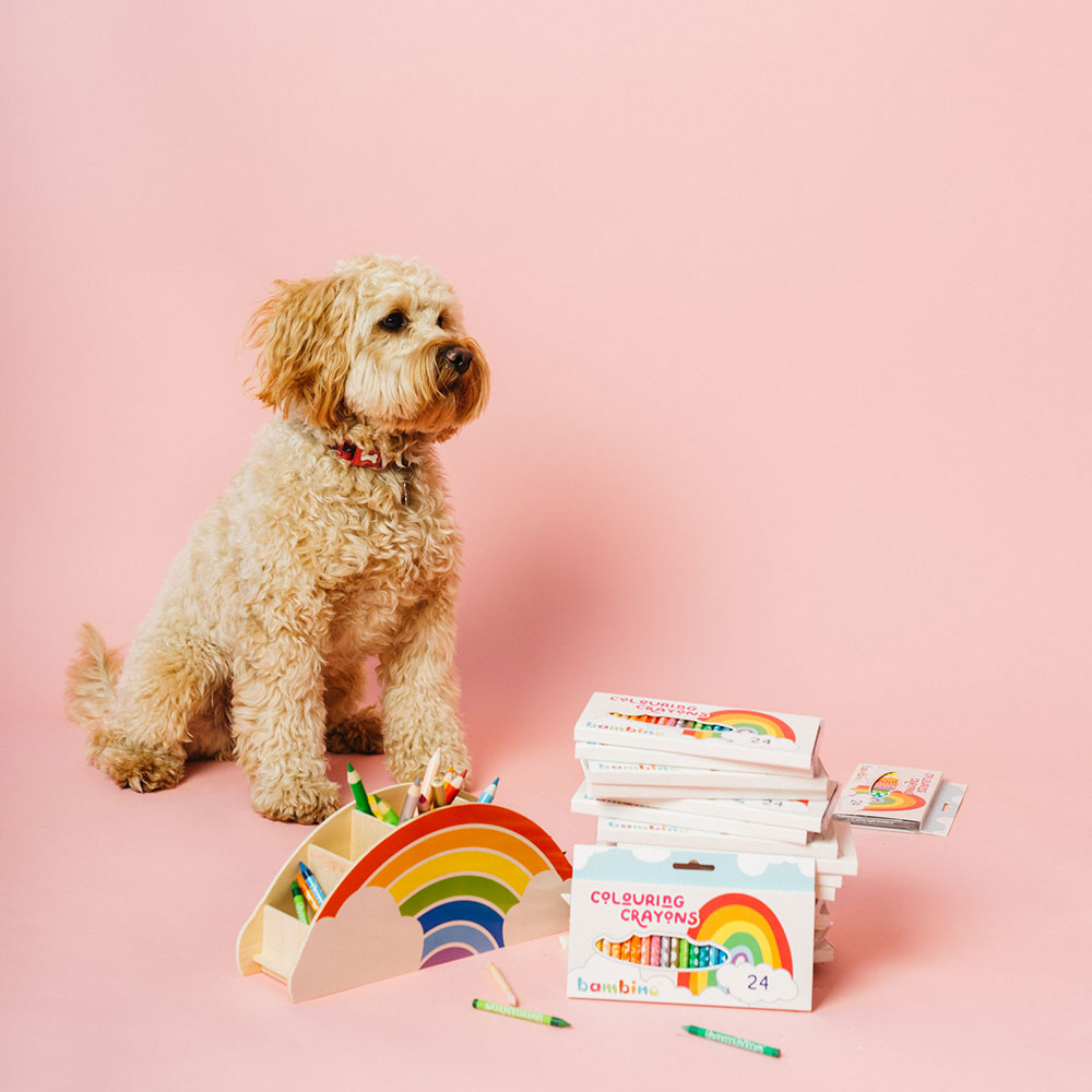 Puppy sat with packets of colouring crayons