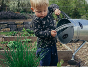 Little boy pouring water from watering can onto green plants - Soil Association Earth Day Webinar