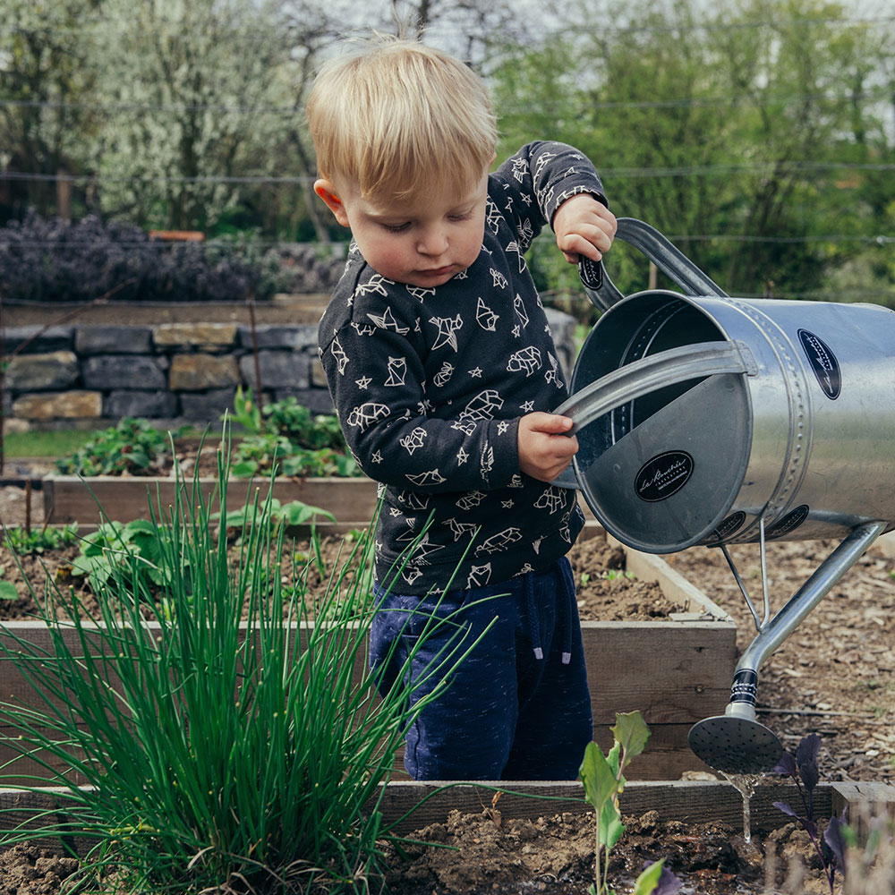 Little boy pouring water from watering can onto green plants - Soil Association Earth Day Webinar