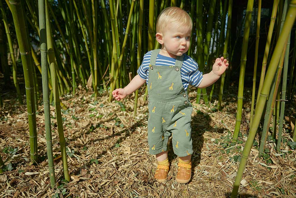 A young boy wearing dark green dungaree's stood in woodland