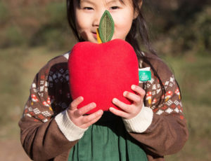 A young girl holding a soft toy of an apple by Little Green Radicals