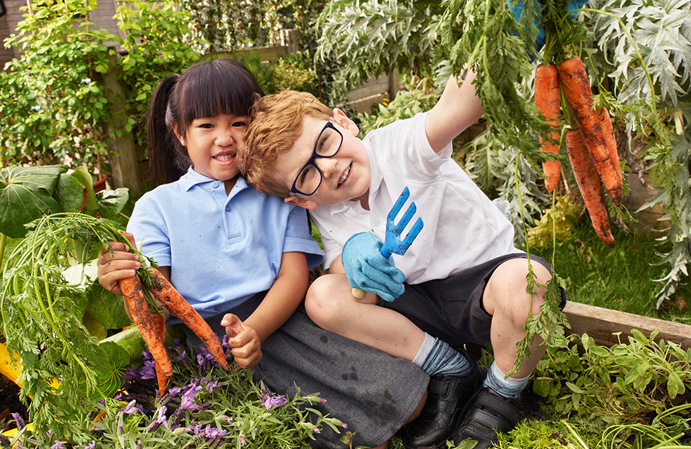 boy and girl waering school uniform in garden holding carrots