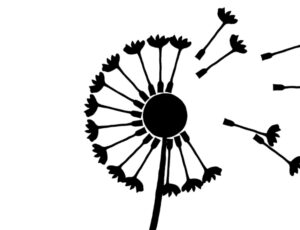 Dandelion graphic from the Etta Loves animation
