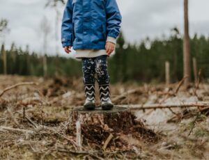 Child in wellington boots and a coat stood on a tree stump in a wood