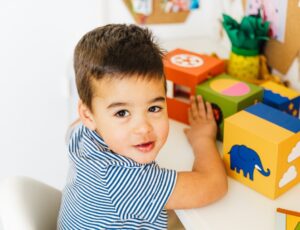 Young boy playing with coloured cubes with animals on by SmartGames