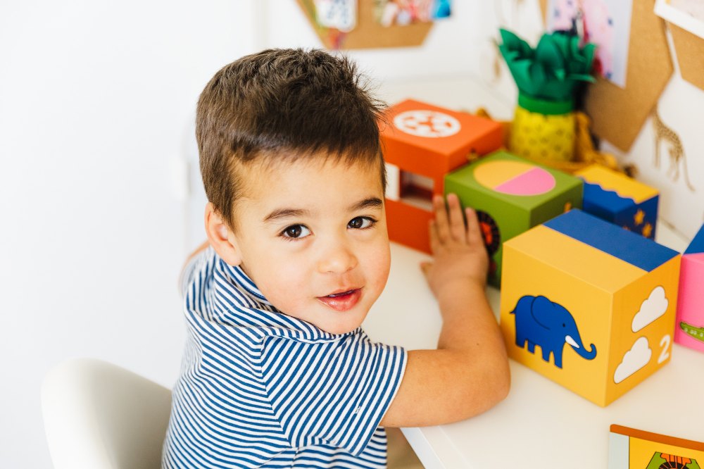 Young boy playing with coloured cubes with animals on by SmartGames