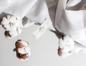 Cotton plants beside some white cotton fabric