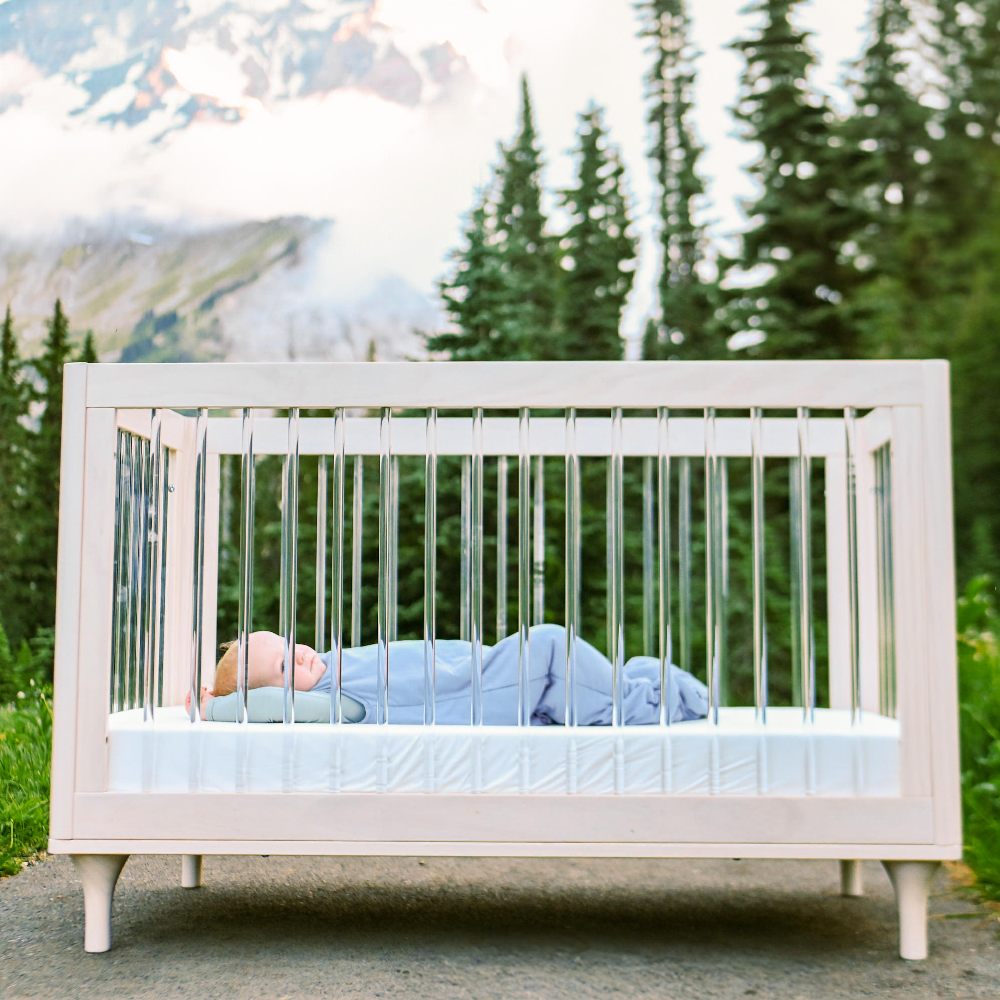 A baby in a crib outside with tress and mountains in the background 