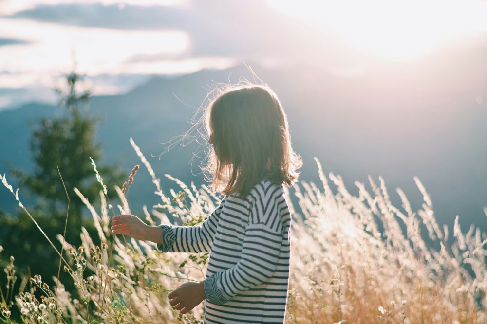 A young child outside in a field reaching to touch a plant