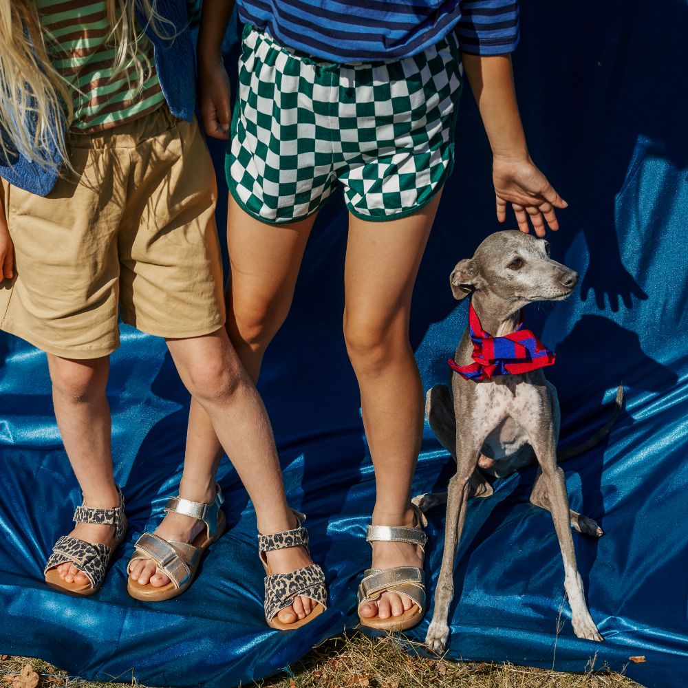 Two children's in shorts and sandals stood beside a dog 