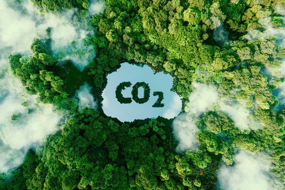 co2 logo within a cloud shape placed above an image of a rainforest representing SGS Green Marks