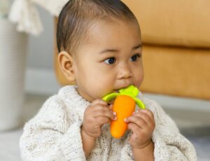 A young baby chewing a carrot shaped teether by Infantino