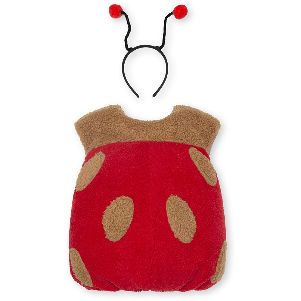 A children's ladybug costume and headband