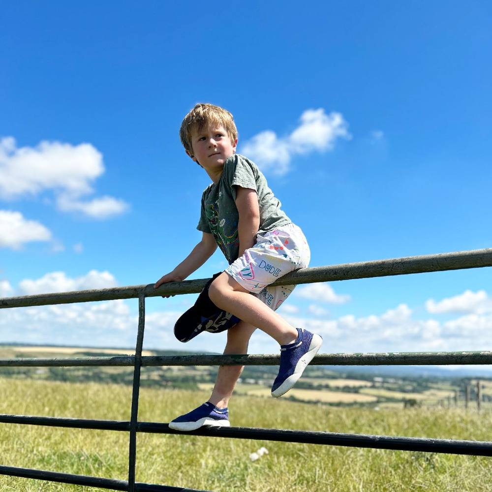 A young boy in shorts, T-shirt and trainers sat on a gate in a field 