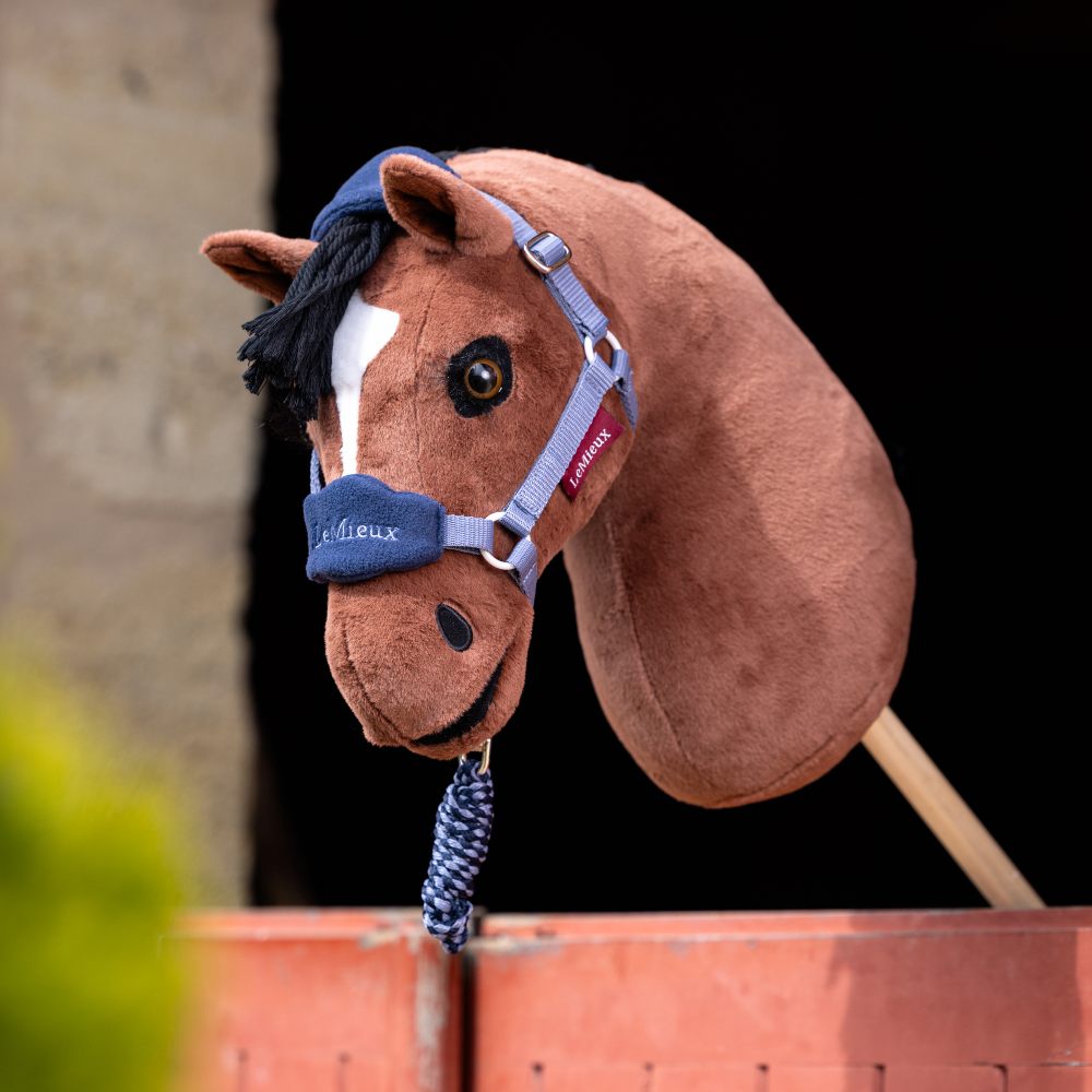 A brown hobby horse displayed looking out of a stable door