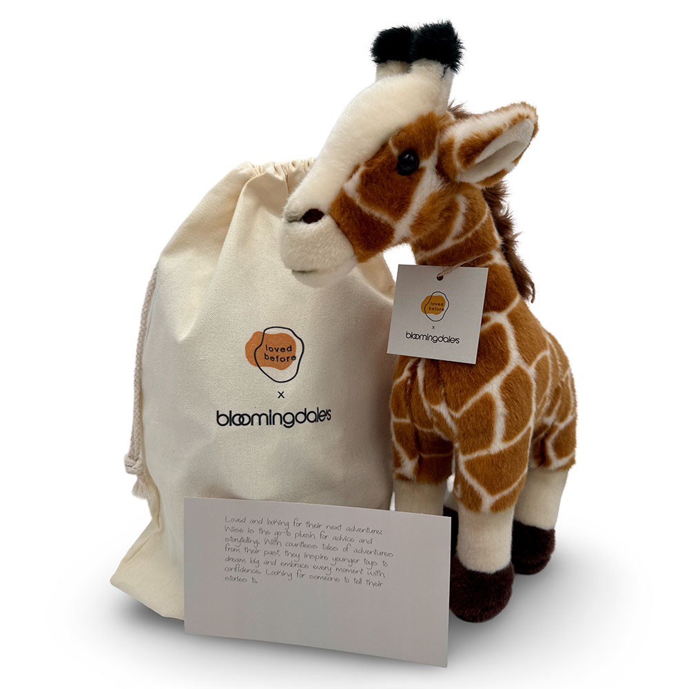 Soft Toy Giraffe with dust bag and note