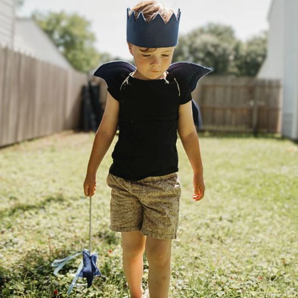A child outside in a garden wearing a dark blue crown, wings and holding a matching wand by A is for Alice 