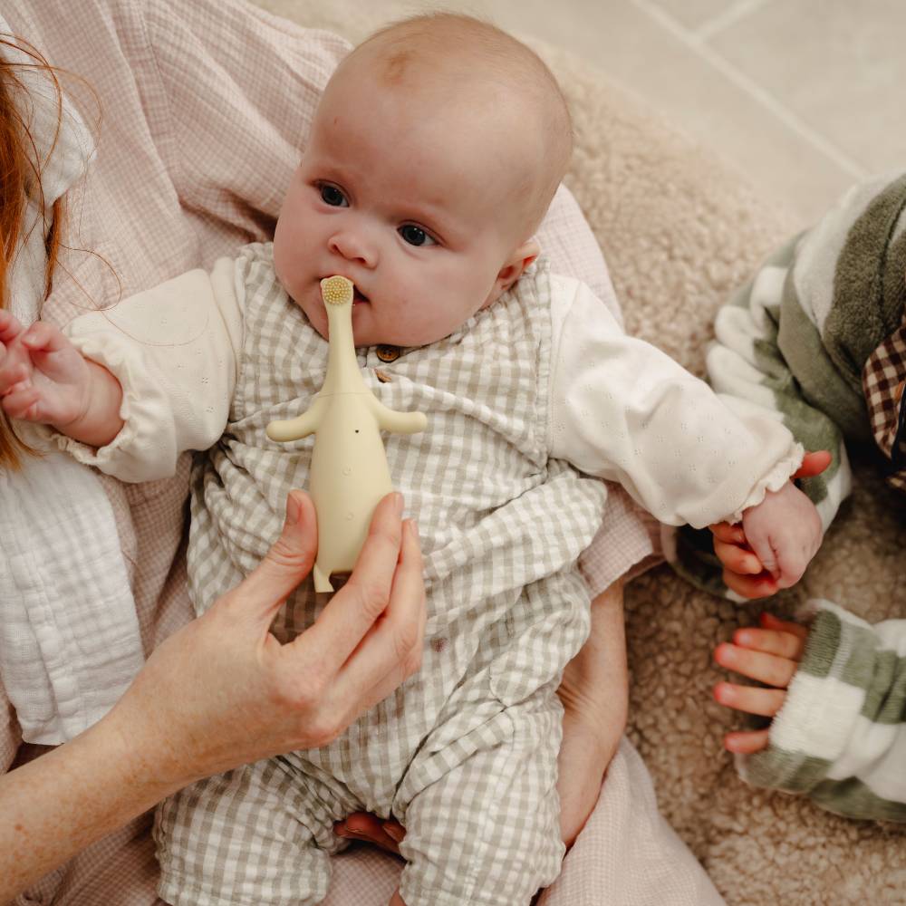Someone holding a young baby and holding a Brushie Bear tooth brush to their mouth 