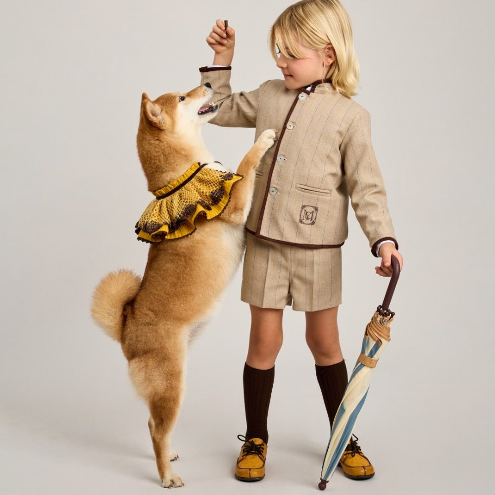 A boy in a smart jacket and short holding an umbrella and a treat up for a dog reaching up beside him 